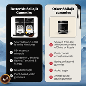 Pure Shilajit Resin Gummies