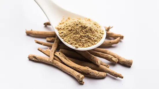 Ashwagandha (Withania somnifera): The ancient adaptogen that modern science cannot stop talking about