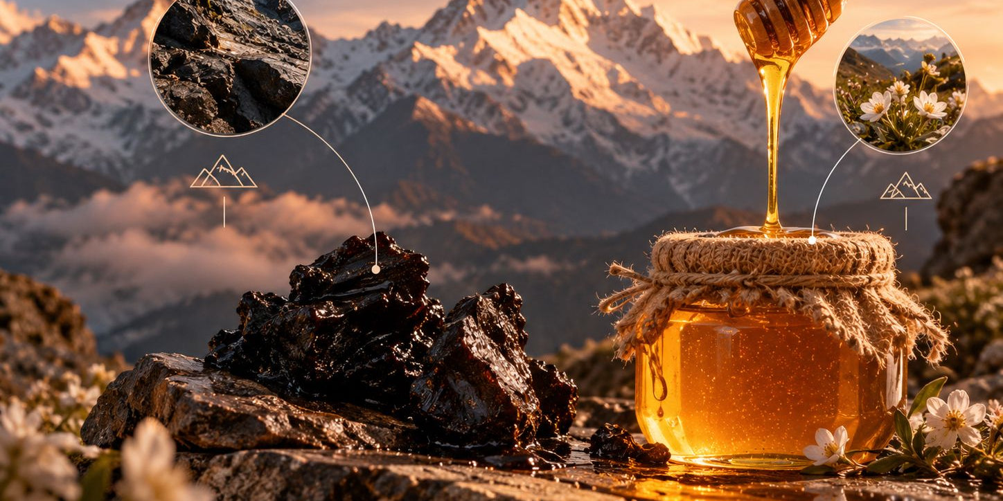 Two ingredients from the same mountain range: why shilajit and himalayan honey were always meant to be together