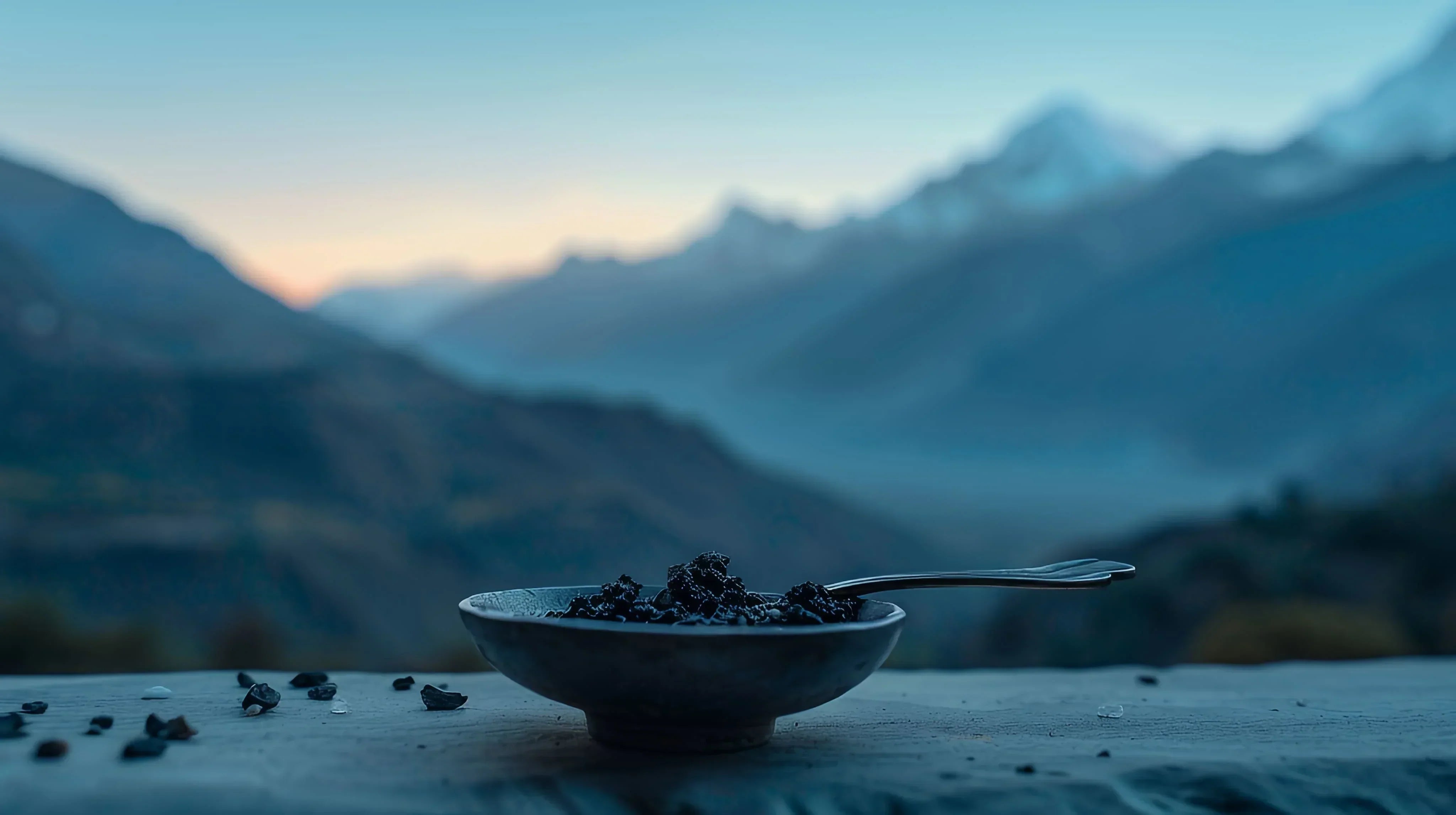Shilajit: The Ancient Himalayan Resin Taking the US Wellness World by Storm And Why You Should Pay Attention