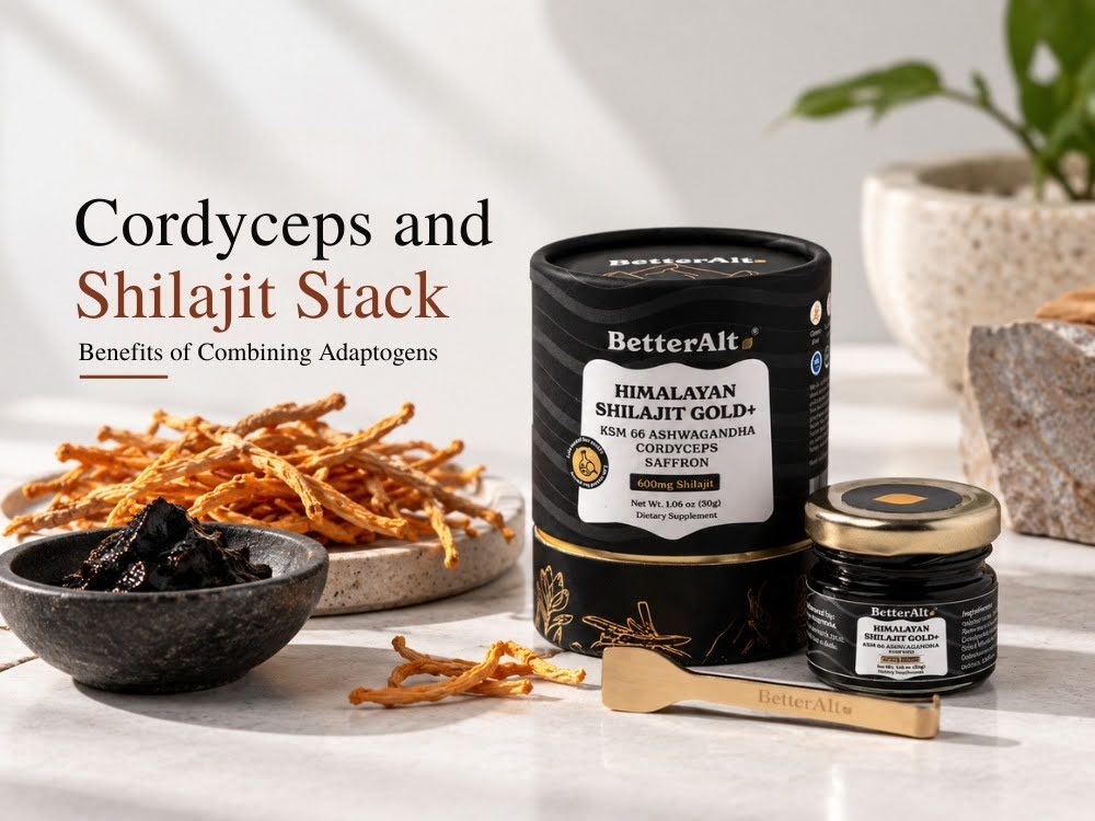 Cordyceps and Shilajit Stack: Benefits of Combining Adaptogens