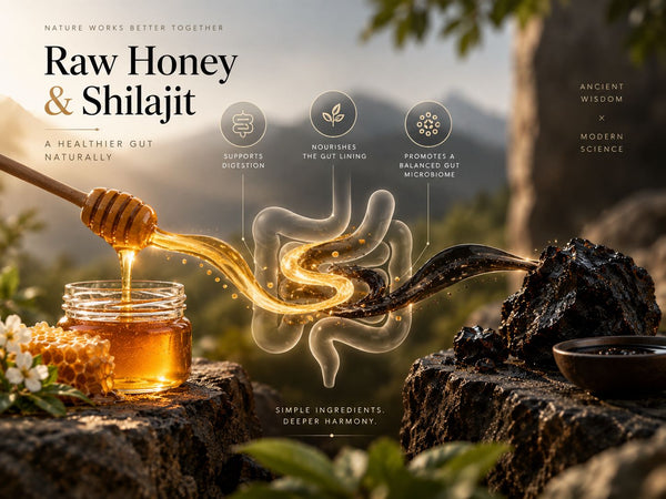 How raw honey's enzymes and shilajit's fulvic acid work together in the gut