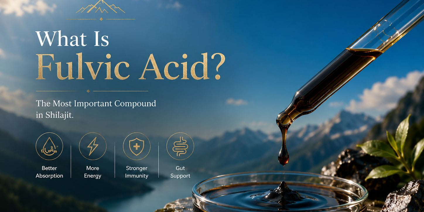 What is fulvic acid and why is it the most important compound in Shilajit?
