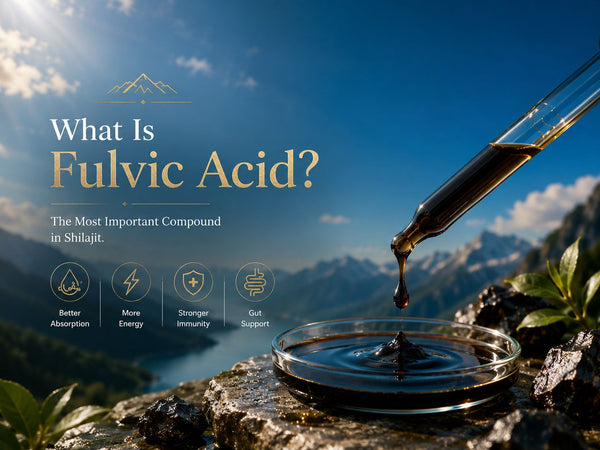 What is fulvic acid and why is it the most important compound in Shilajit?