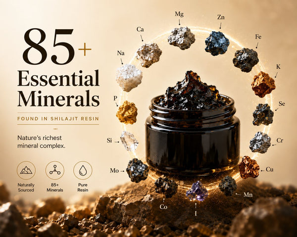 Shilajit and the 85+ trace minerals: what they actually do inside your body