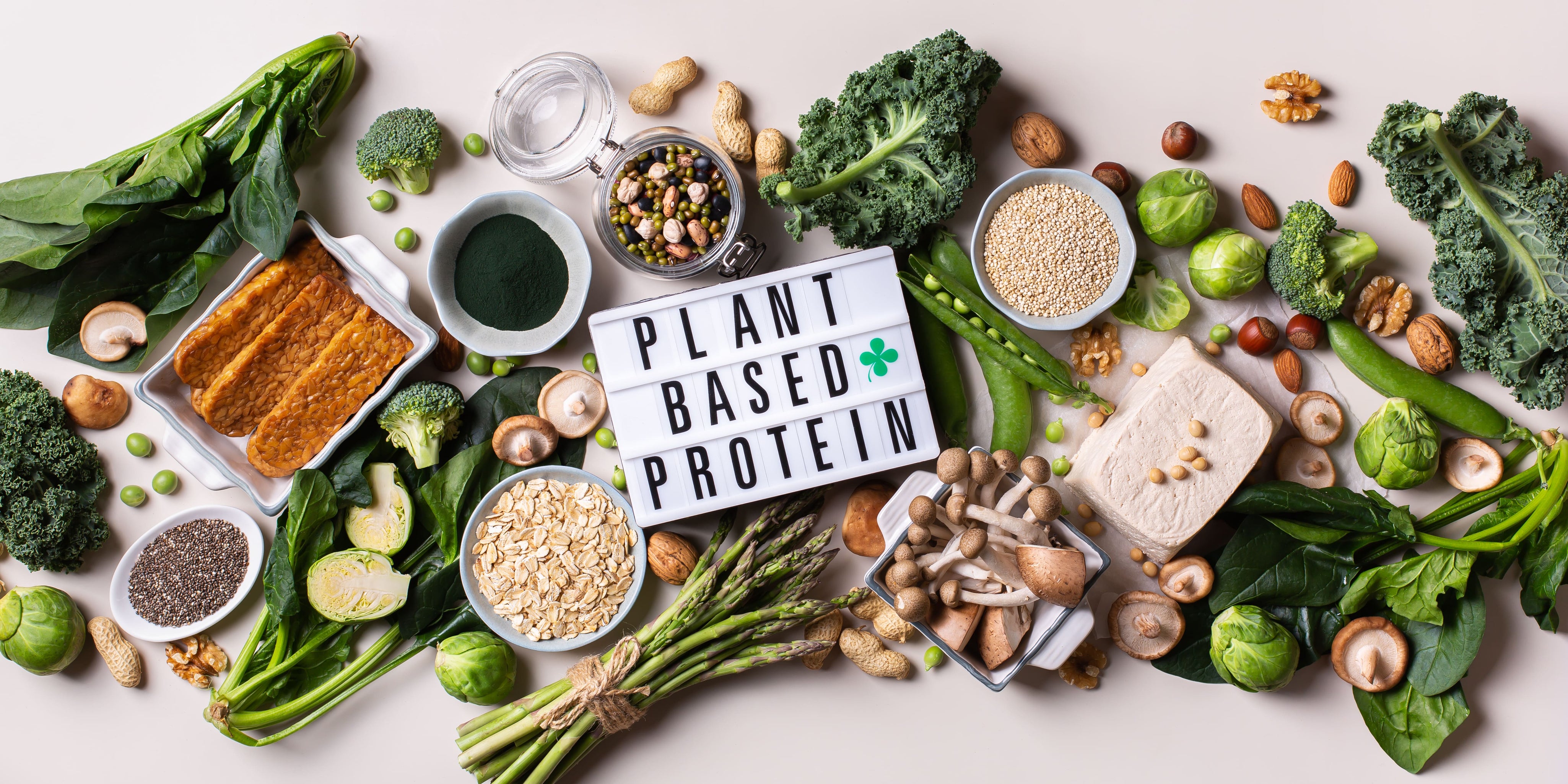 The complete guide to plant protein: what it is, how it works, and why it might be the smartest upgrade you make to your nutrition
