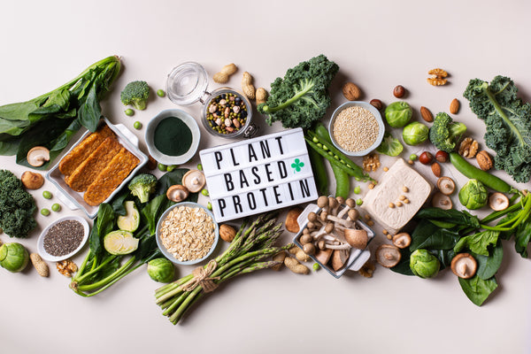 The complete guide to plant protein: what it is, how it works, and why it might be the smartest upgrade you make to your nutrition