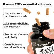 BetterAlt All-in-one Supplement