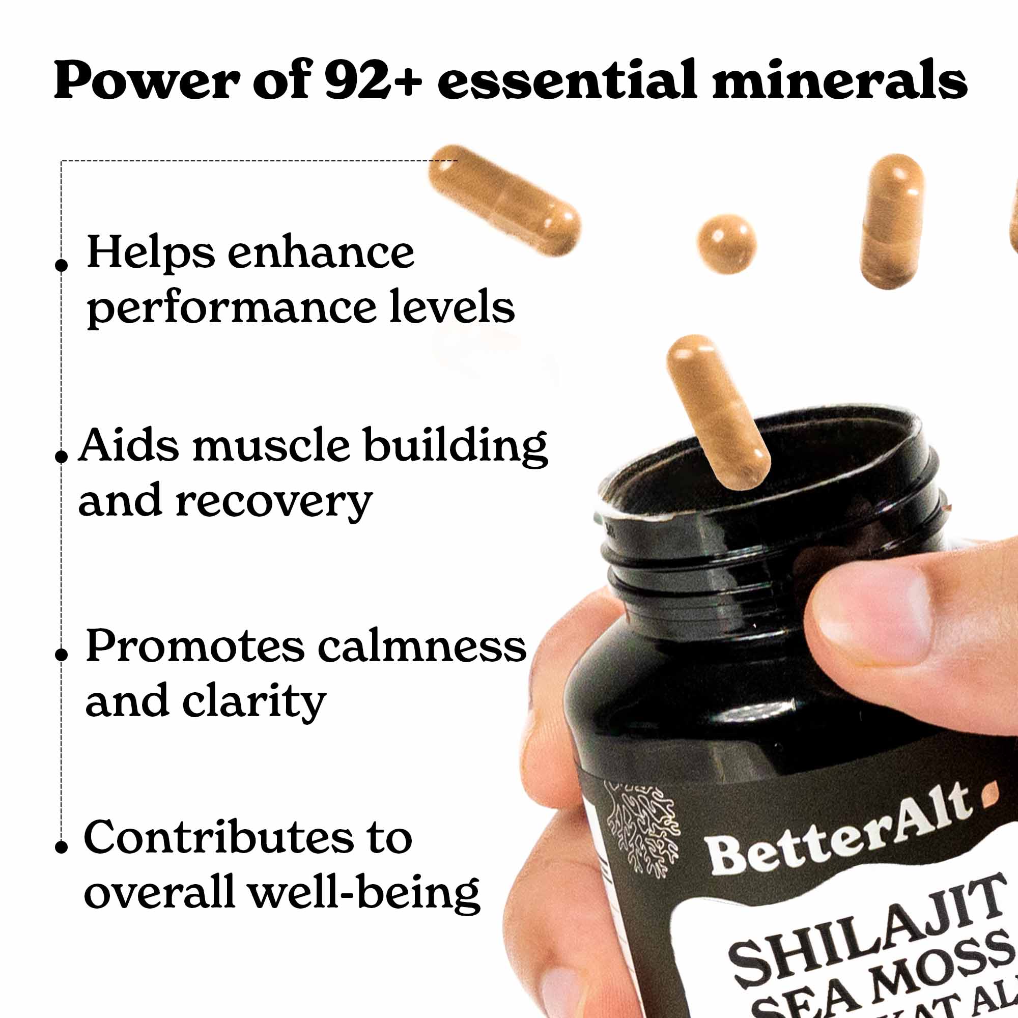 BetterAlt All-in-one Supplement