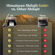 GOLD+ Himalayan Shilajit Resin | with Ashwagandha, Safed Musli, Saffron | Non-caffeinated pre-workout Formula