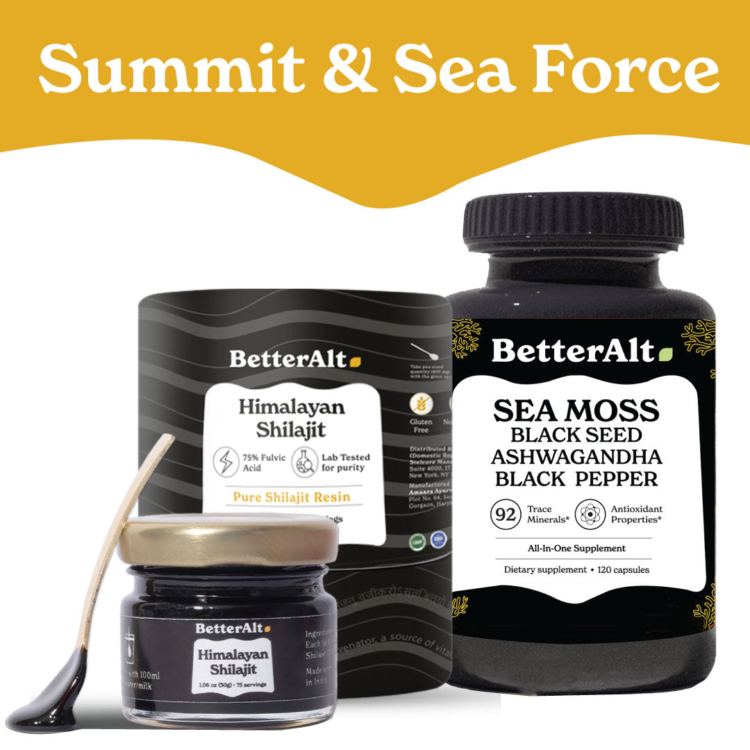 Himalayan Shilajit Resin – BetterAlt