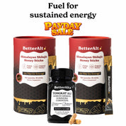 GOLD+ Shilajit Honey Sticks