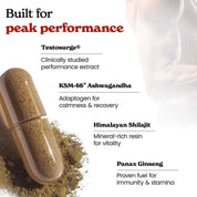 Testo Pro Capsules