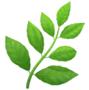 Supports Gut Health & Balance