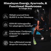 Shilajit Gold+ Liquid Drops