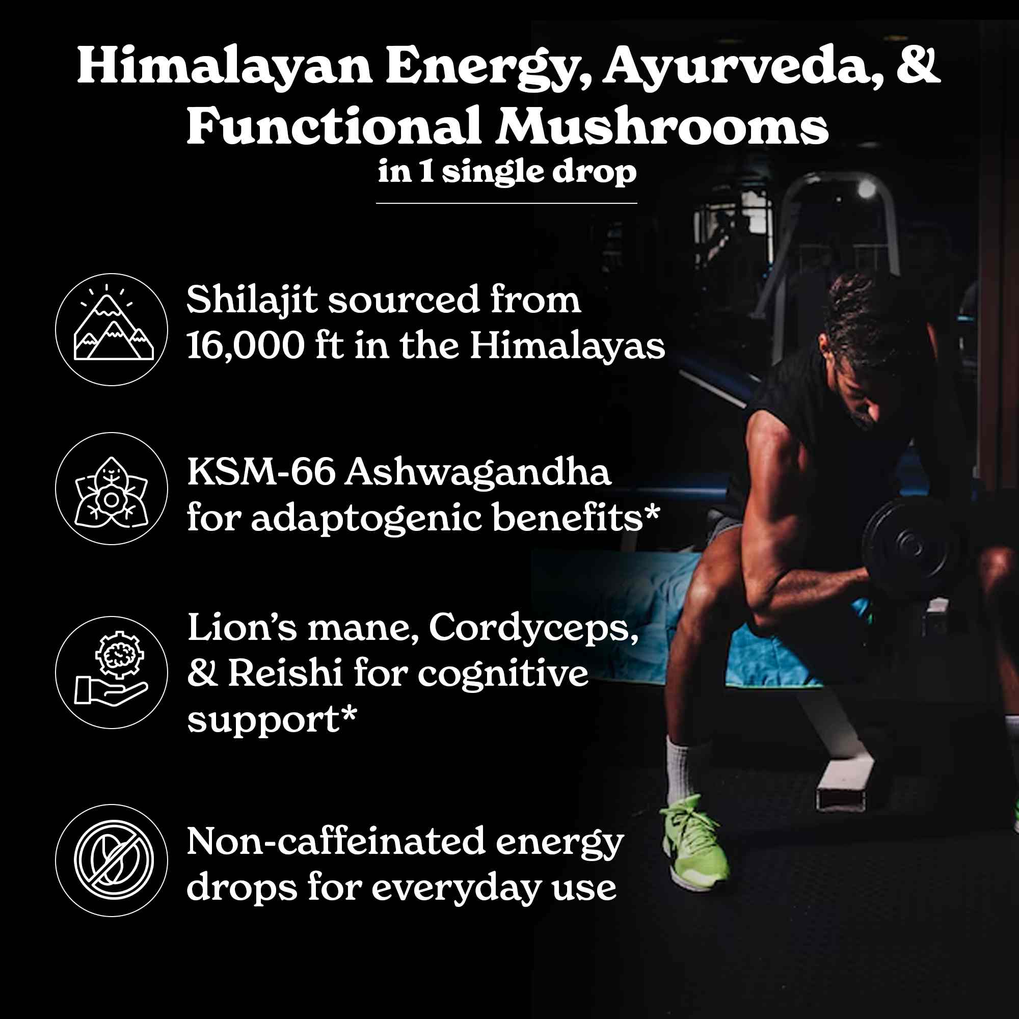 Shilajit Gold+ Liquid Drops