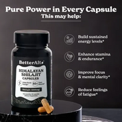 Shilajit Capsules