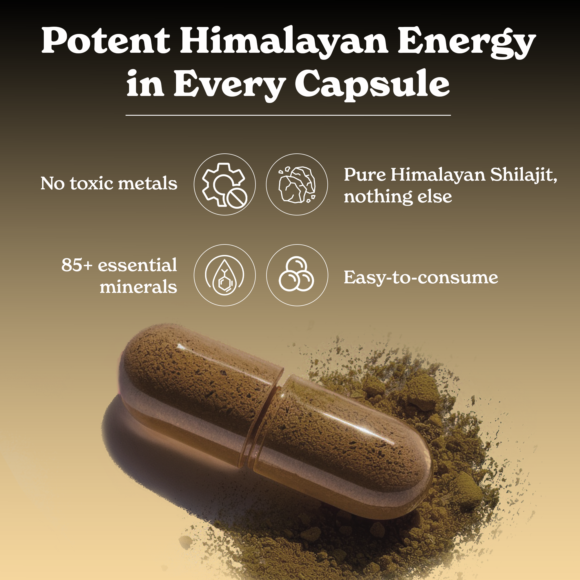 Shilajit Capsules