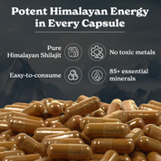 Shilajit Capsules