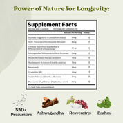 NAD+ Capsules