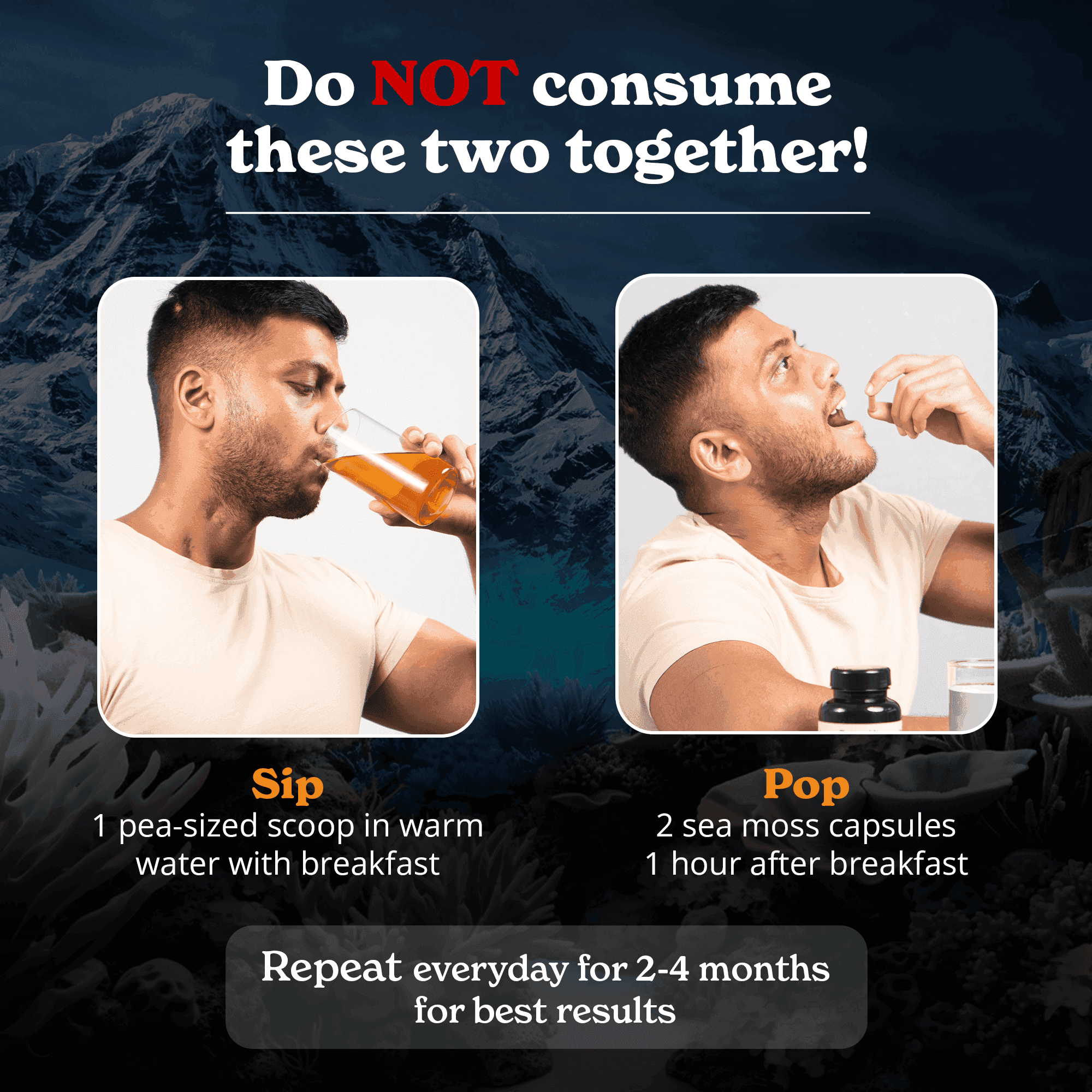 BetterAlt Ultimate Energy Duo | Shilajit Resin & Sea Moss Capsules