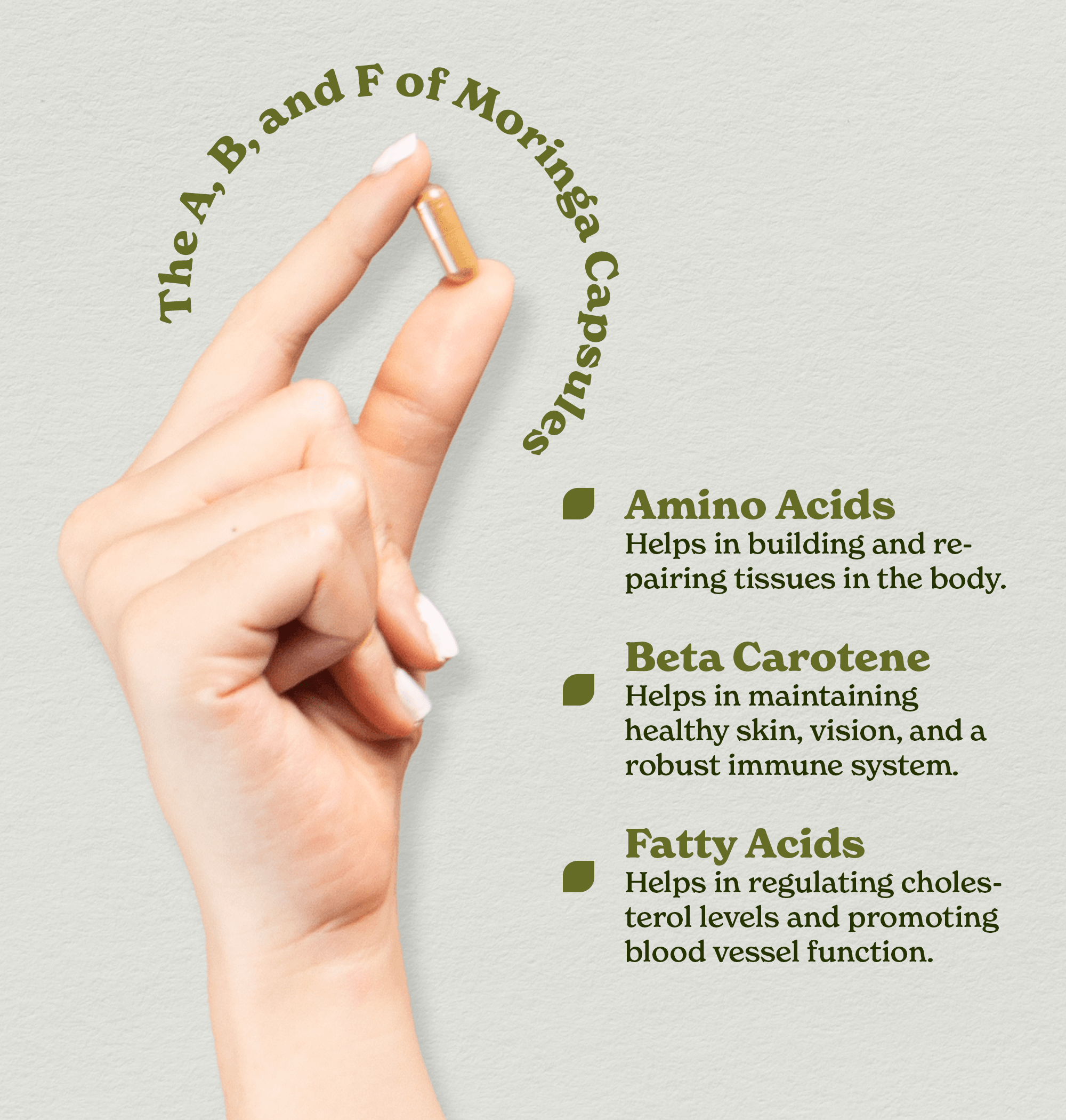 Moringa Capsules POS