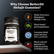 Pure Shilajit Resin Gummies | Sourced from 16,000ft for Energy, Strength & Cognitive Support