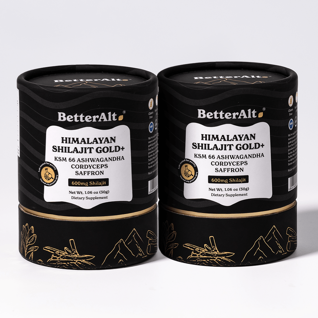 BetterAlt's Himalayan Shilajit Resin | Natural Ayurvedic Energy Supplement